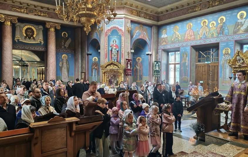 Акция «Белый цветок»